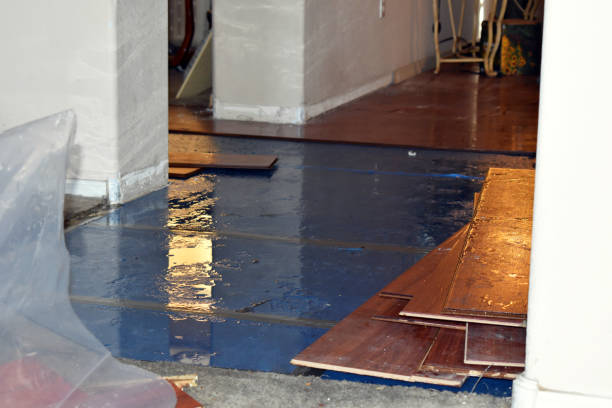 Professional Basement Flood Cleanup technician working in Montague, TX
